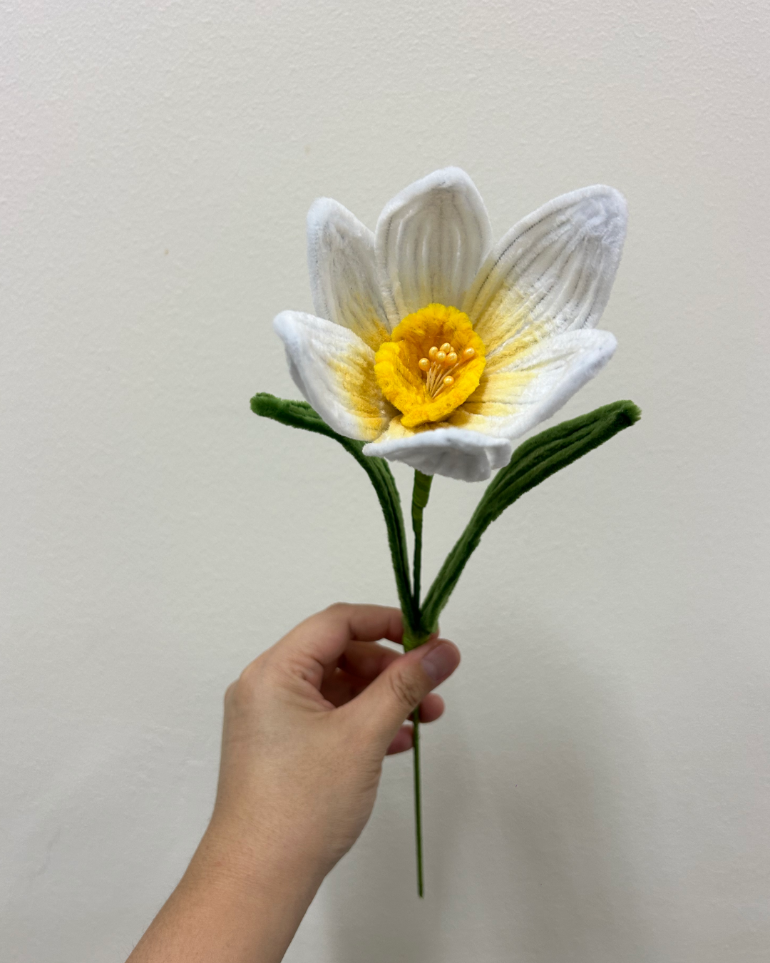 Daffodil - single stalk