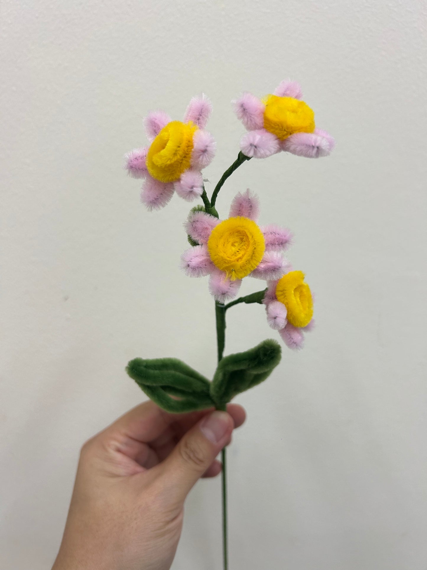 Daisy - single stalk