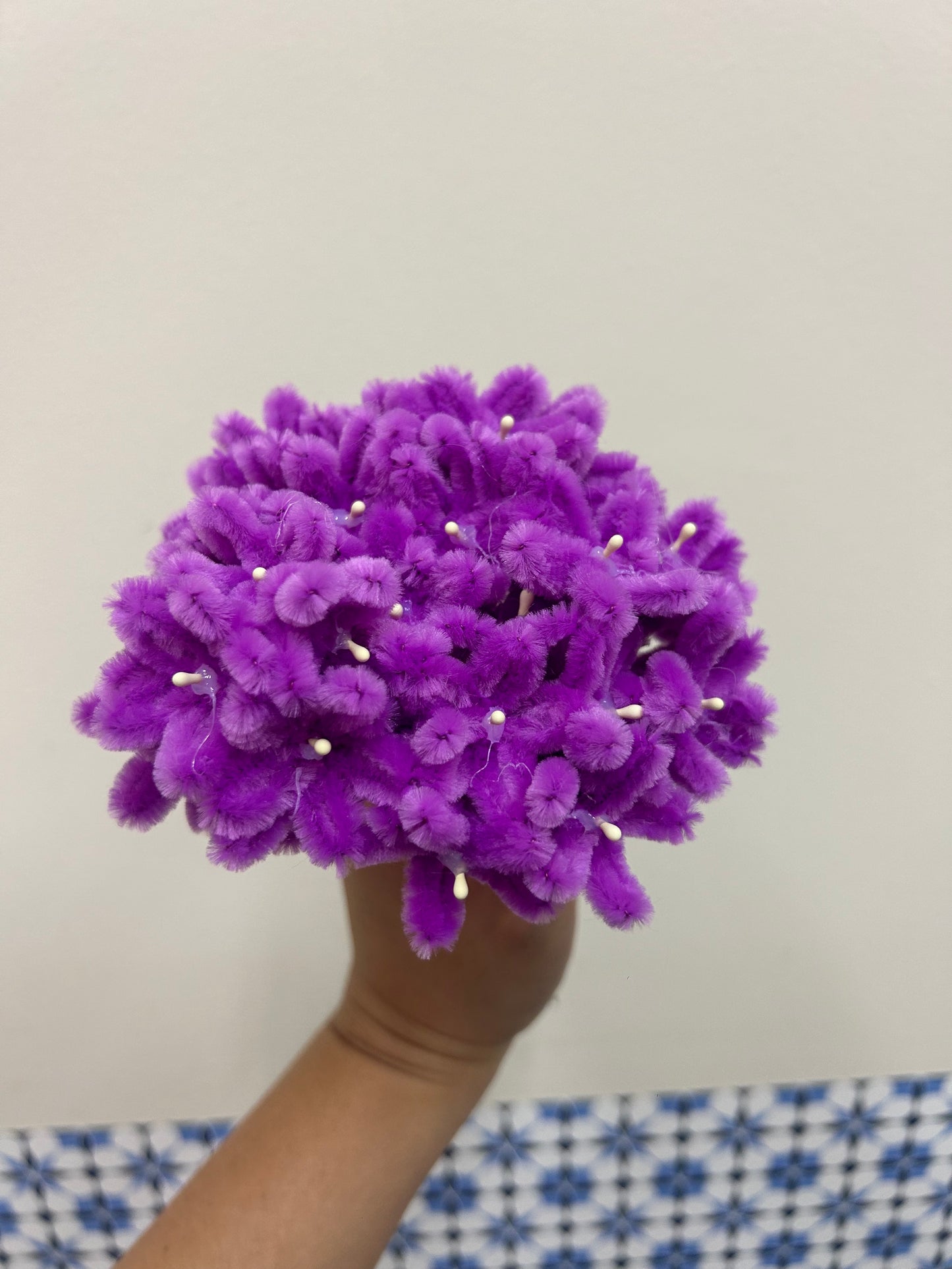 Hydrangea - single stalk