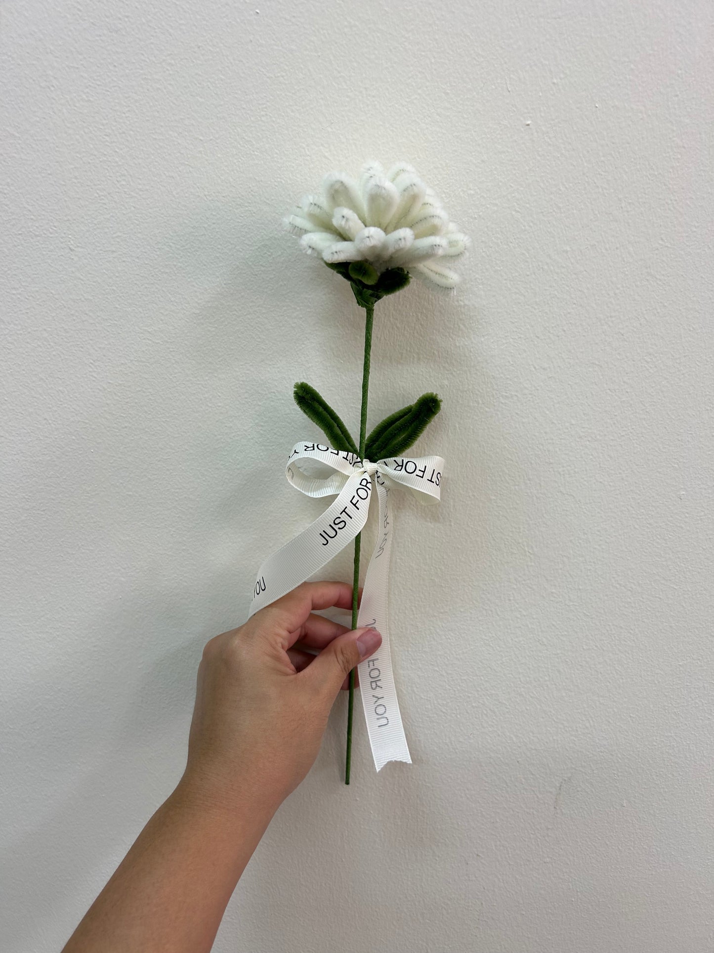 Carnation - single stalk