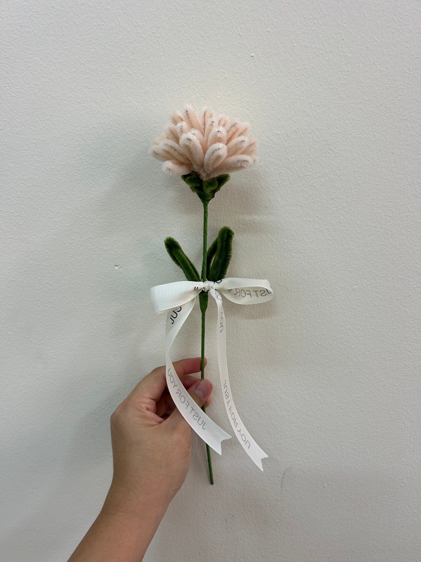 Carnation - single stalk