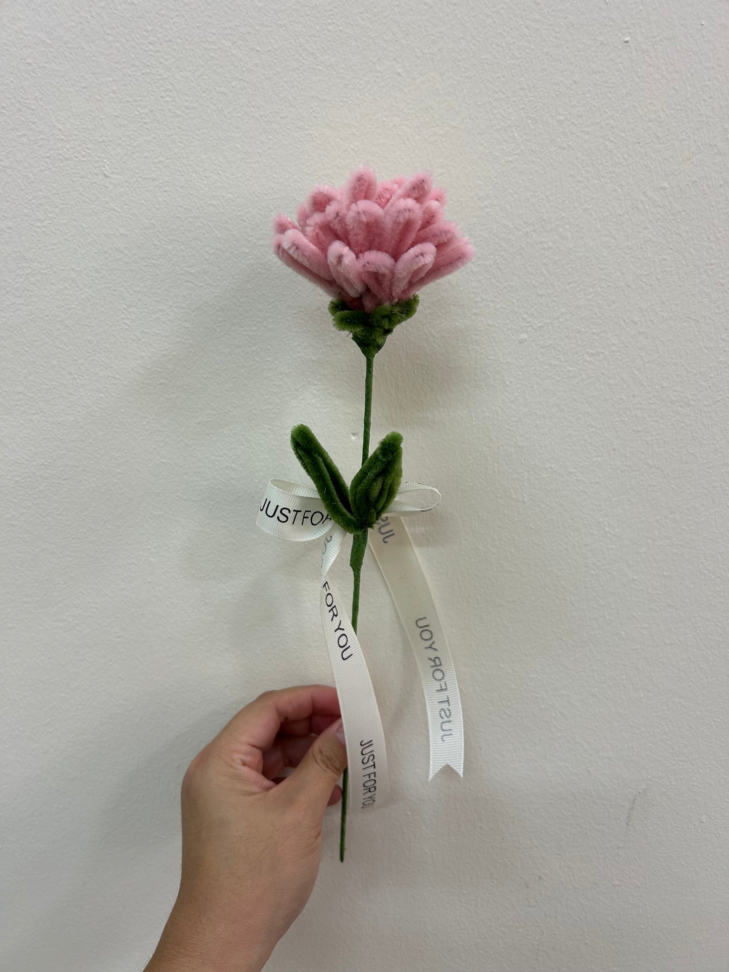 Carnation - single stalk