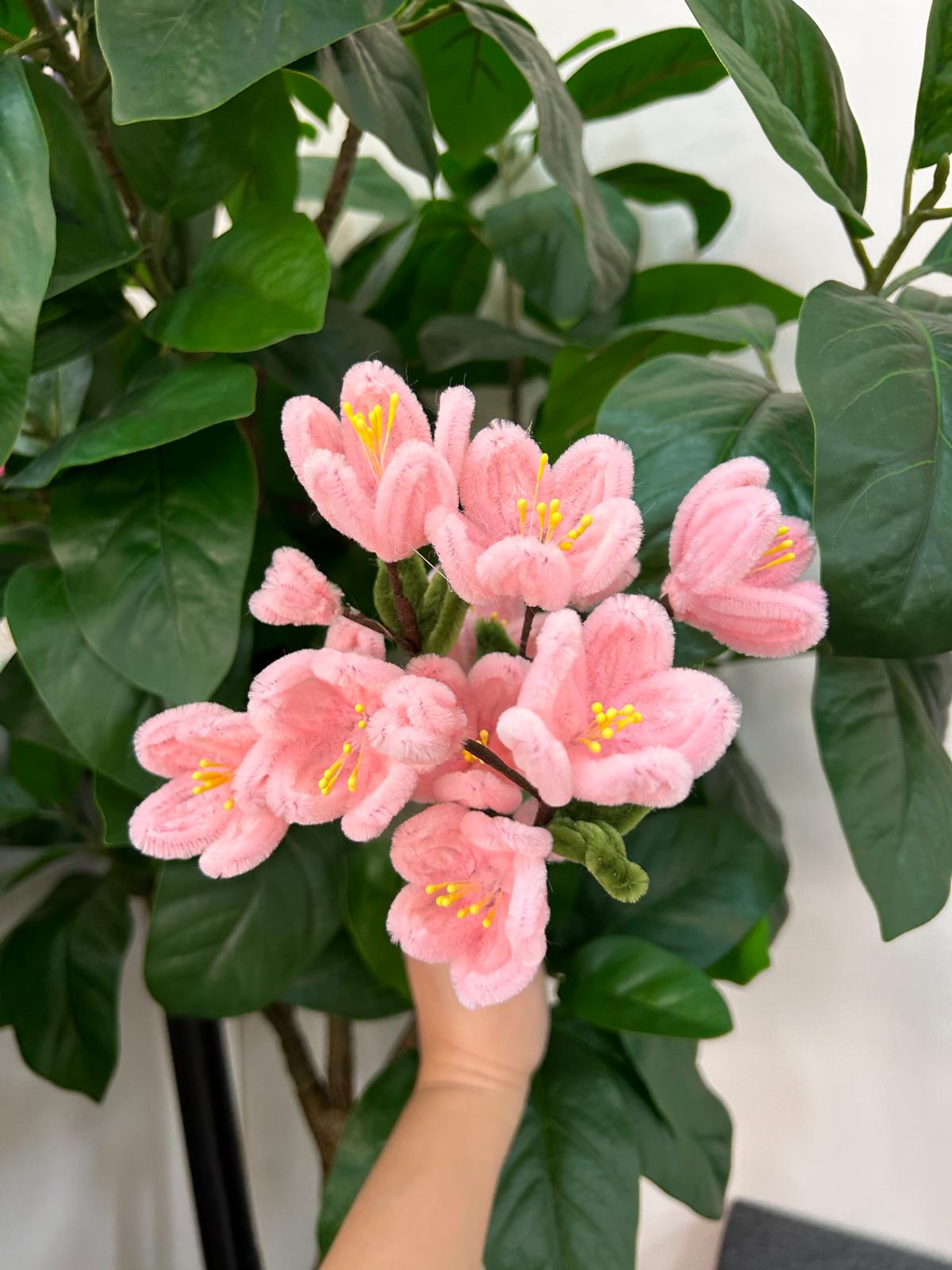 Cherry blossoms - 5 stalks