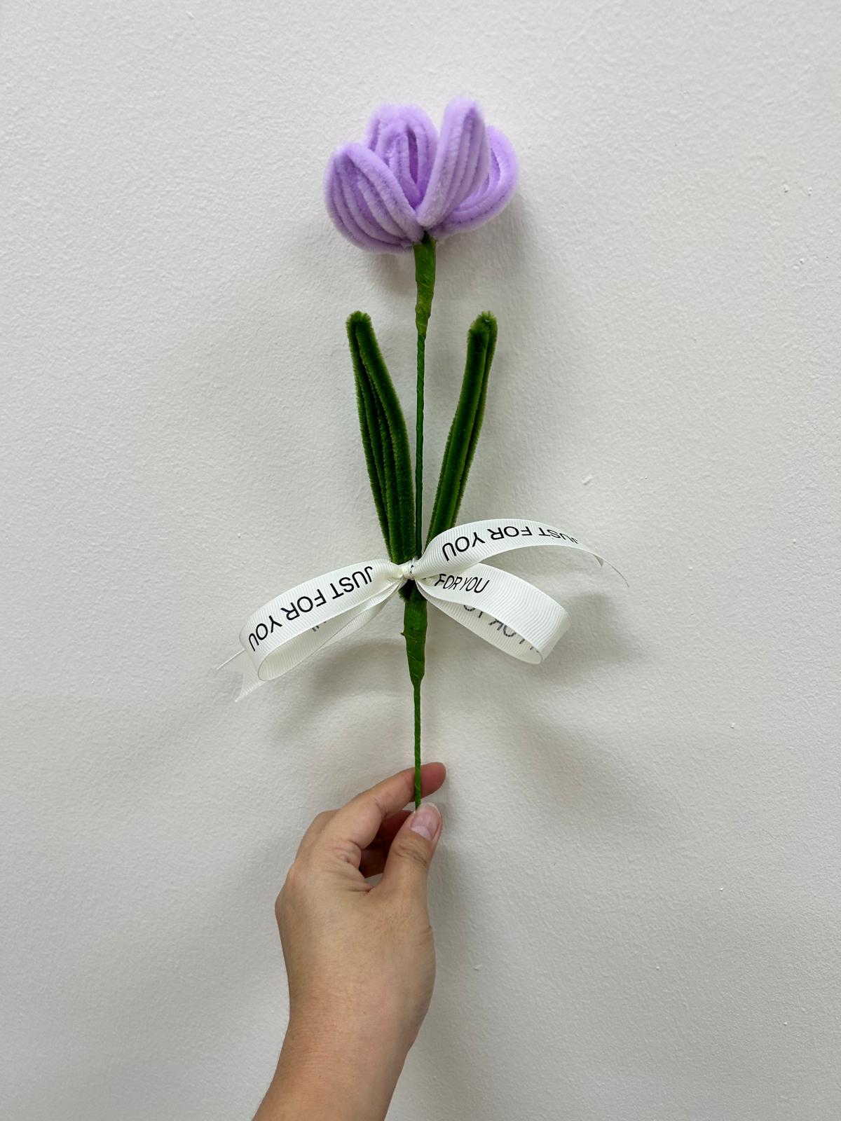 Tulip - single stalk