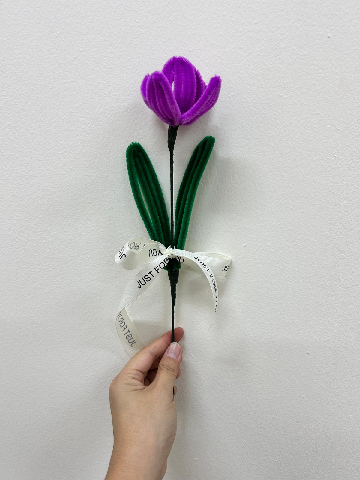 Tulip - single stalk