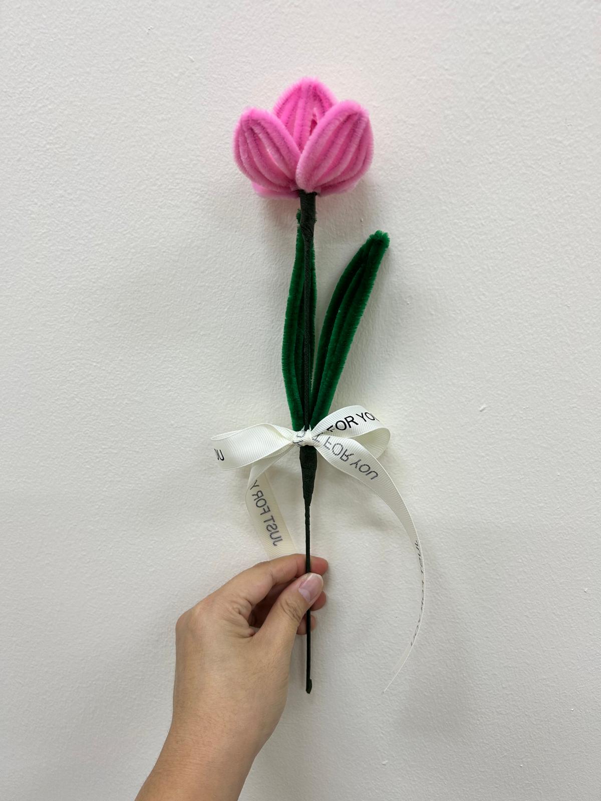Tulip - single stalk