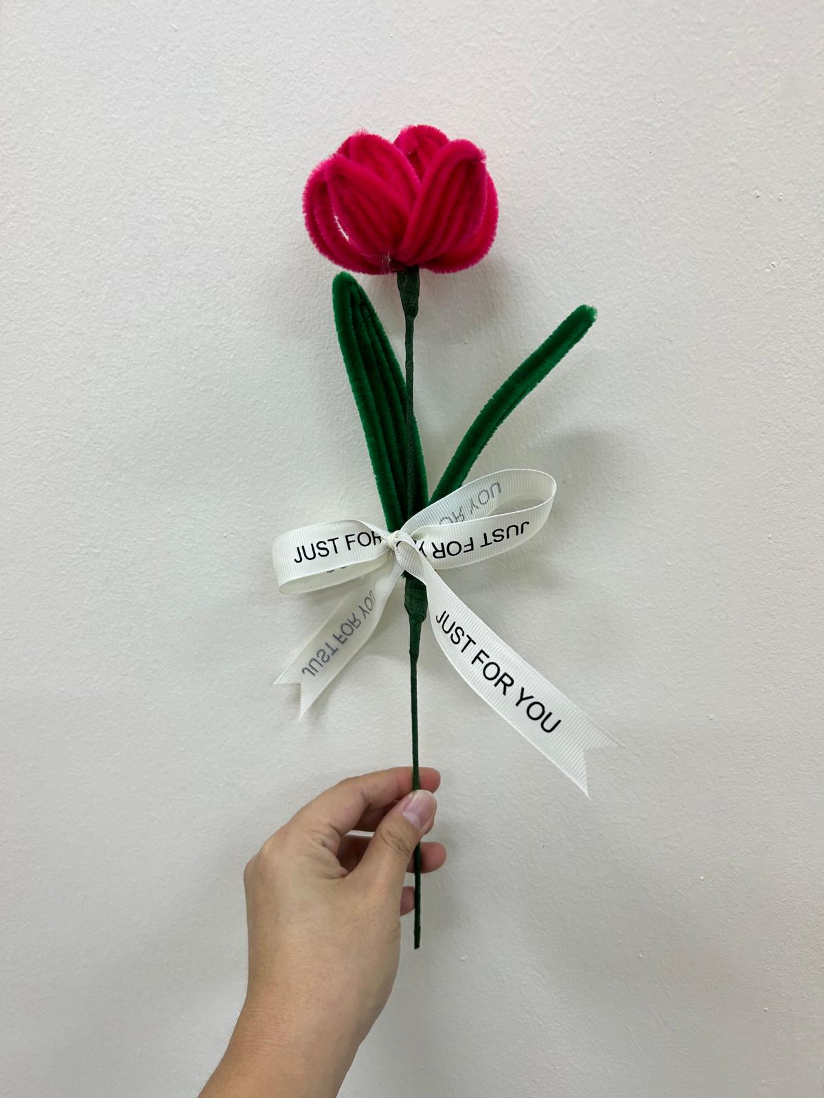 Tulip - single stalk