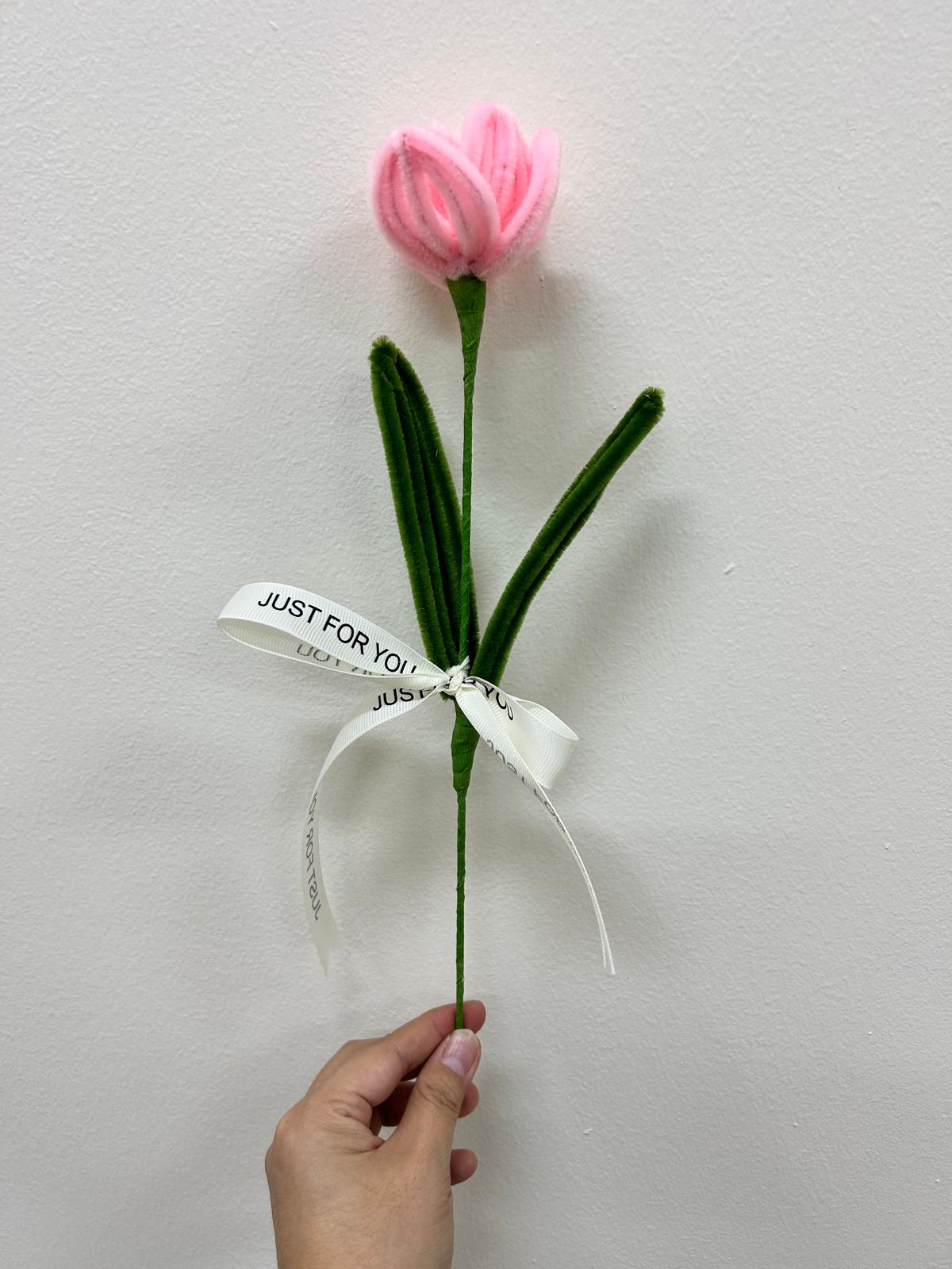 Tulip - single stalk