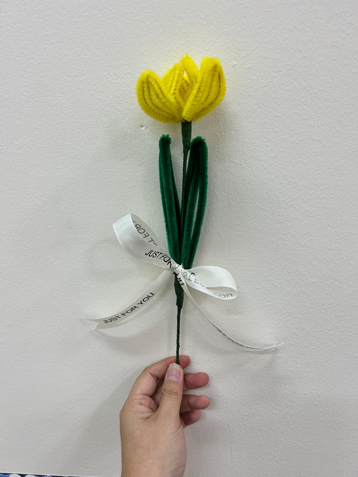 Tulip - single stalk