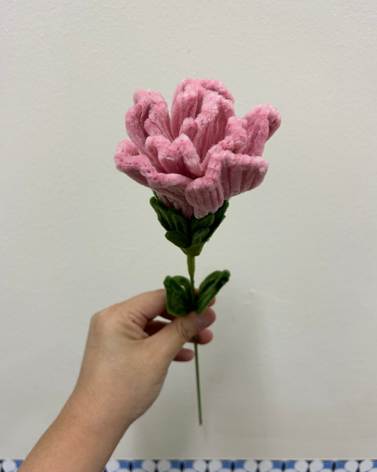Carnation - single stalk
