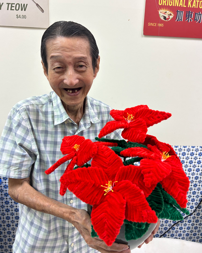 [Limited quantity] Handmade Potted Poinsettia