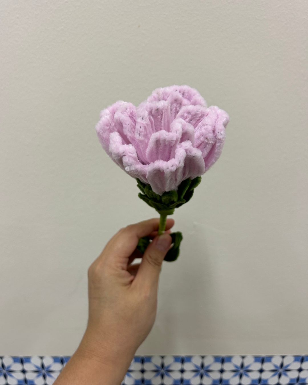 Carnation - single stalk
