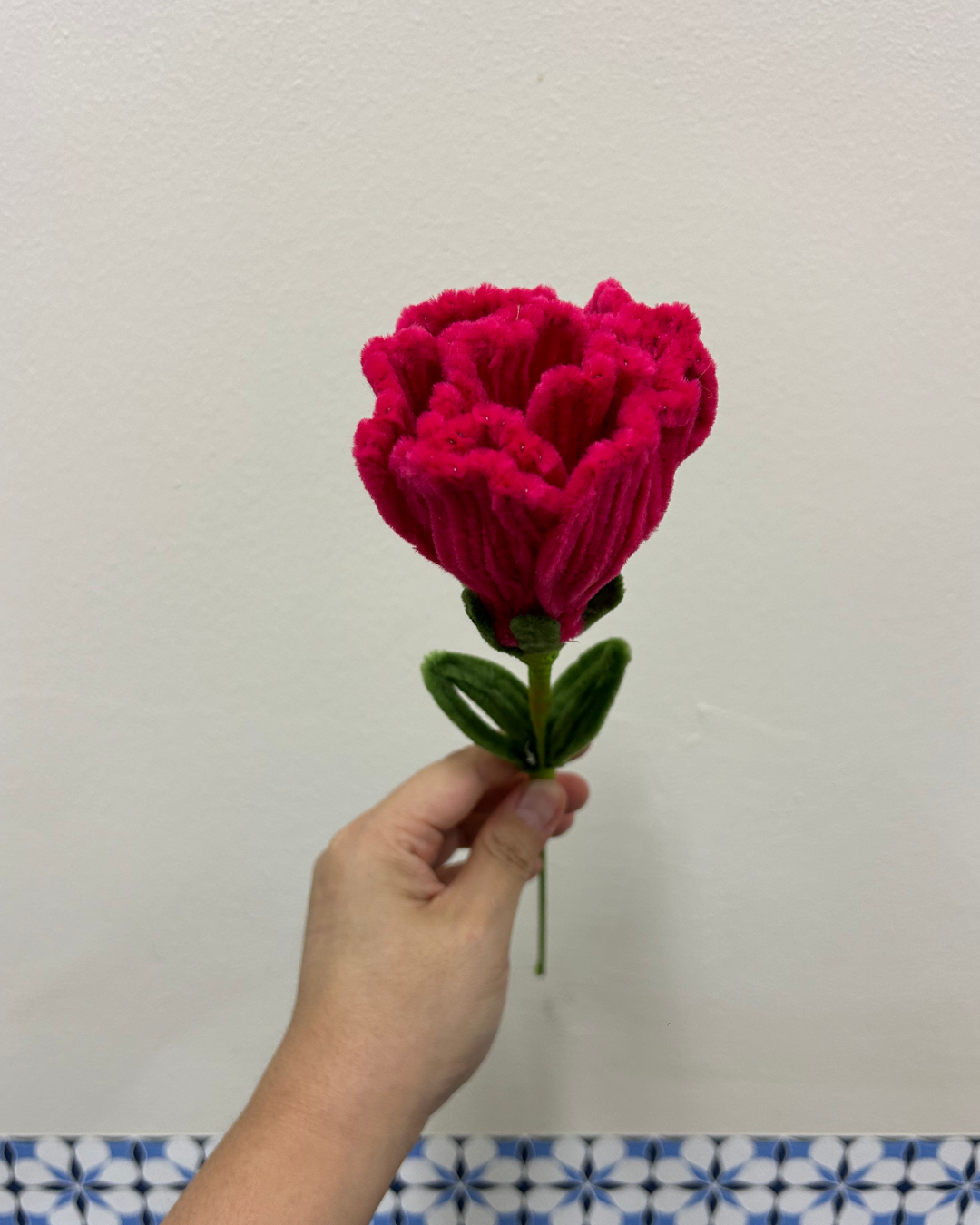 Carnation - single stalk