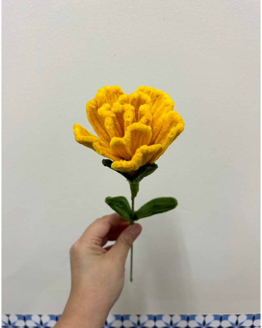 Carnation - single stalk