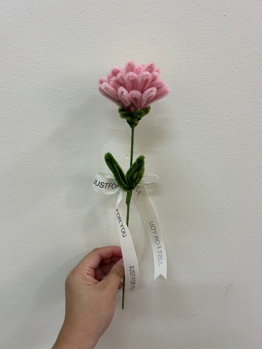 Carnation - single stalk