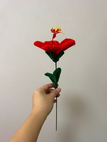 Hibiscus - single stalk