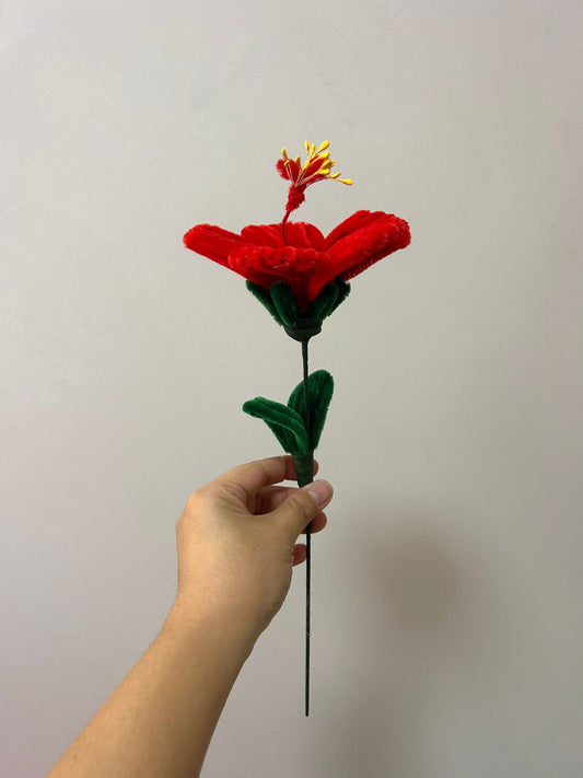 Hibiscus - single stalk