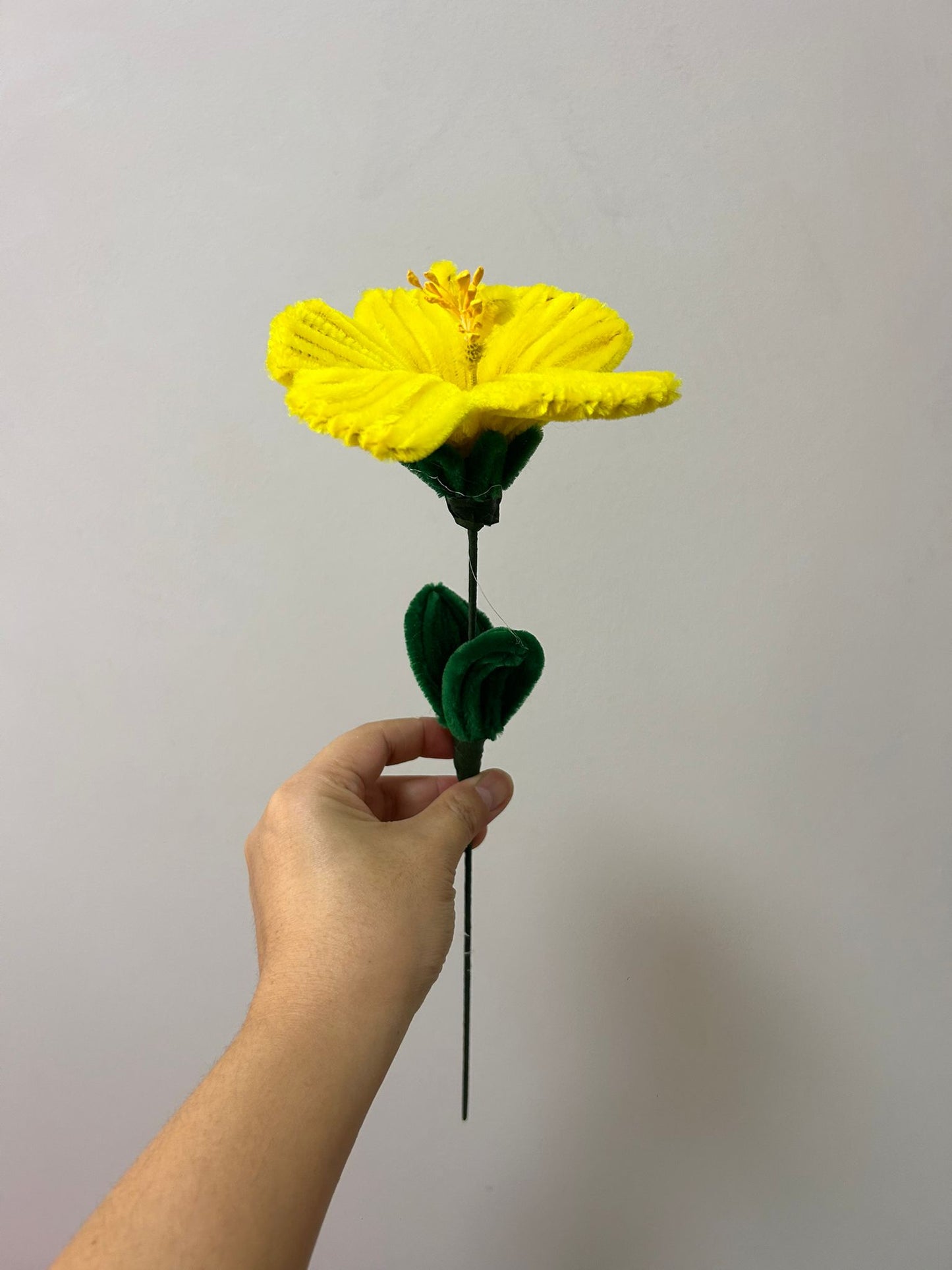 Hibiscus - single stalk