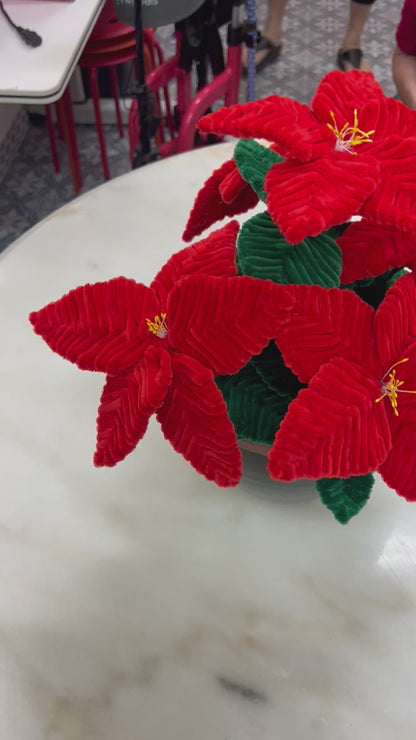 [Limited quantity] Handmade Potted Poinsettia